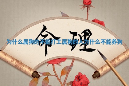 为什么属狗的 ❣ 不 🦣 能打工 属狗的人为什么不能养狗 为什么属狗的 ❣ 不 🦣 能打工 属狗的人为什么不能养狗