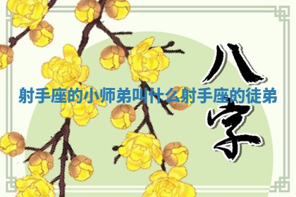 🐮 射手座的小师弟叫什么 射手 🍮 座的徒弟