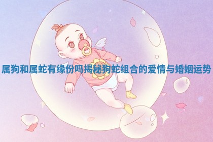 属狗和属蛇有缘份 🛎 吗揭秘狗 🗣 蛇组合的爱情与婚姻运势 属狗和属蛇有缘份 🛎 吗揭秘狗 🗣 蛇组合的爱情与婚姻运势