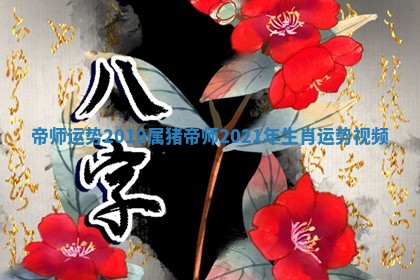 帝师运势2019属猪 🧔 🐔 帝师2021年生肖运势视频