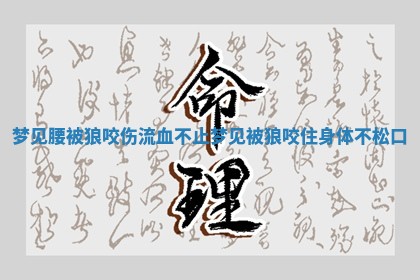 梦见腰被狼 ⏫ 咬伤流血不 🙅 止 梦见被狼咬住身体不松口