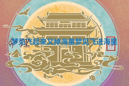 梦见 ⏳ 飞起来又掉海里 梦见 📼 飞进海里