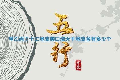 📑 甲乙丙丁十 🎶 二地支顺口溜_天干地支各有多少个