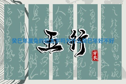 癸巳年属兔 🚂 的犯太岁吗为什 🌷 么 癸巳年好不好